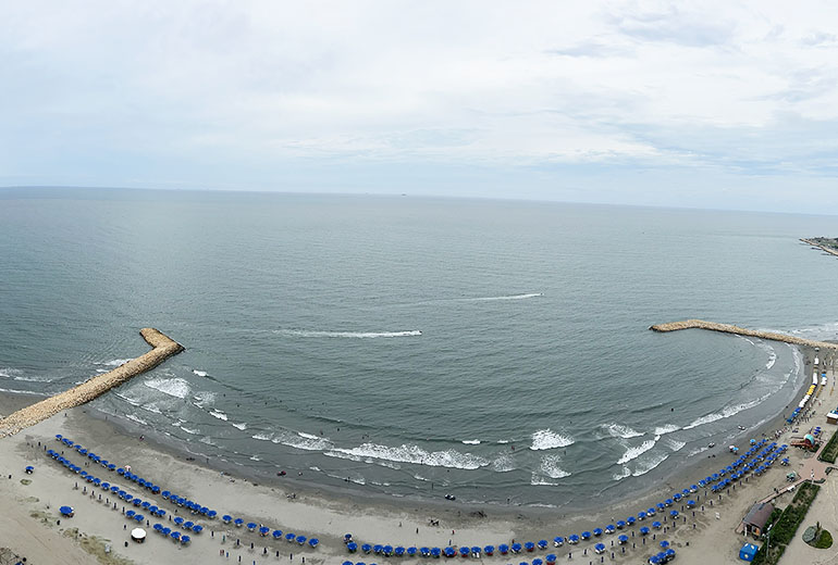 View