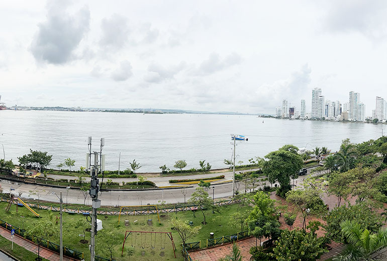 View