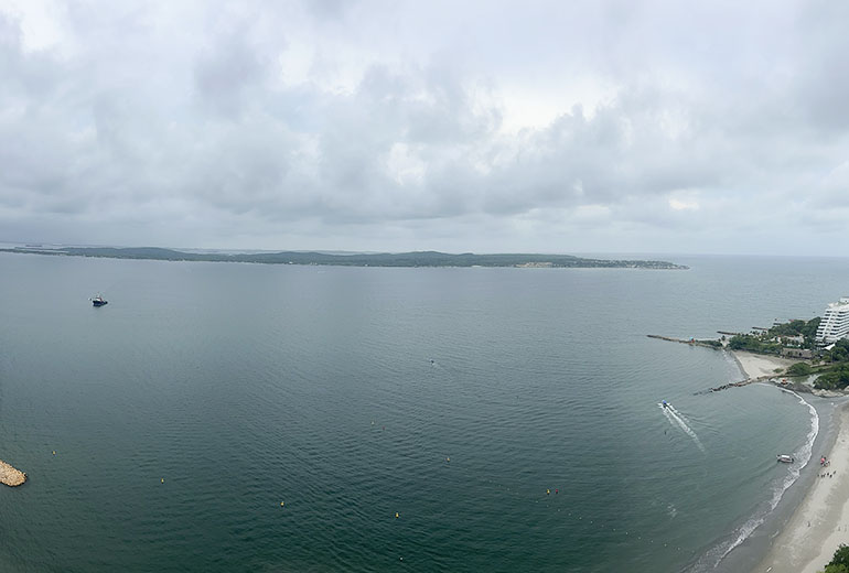 View