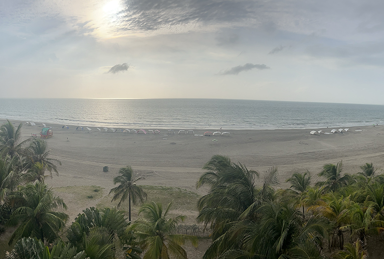 View