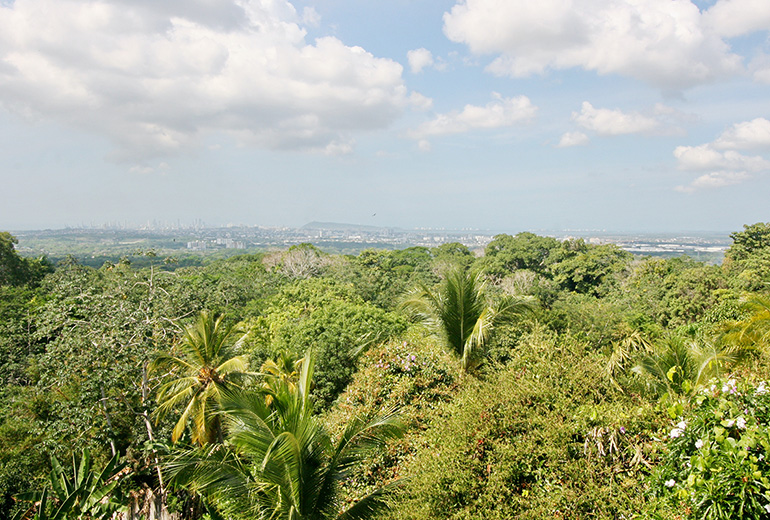 Cartagena View